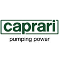 Caprari Pump Repairs